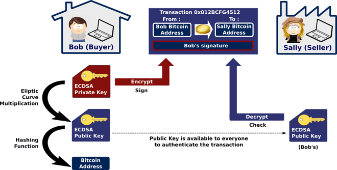 How to get bitcoin public key from private key How to get bitcoin public key from private key